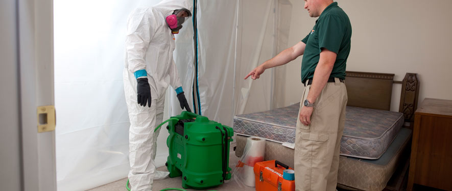 Central, SC mold removal process